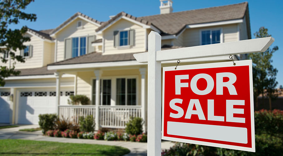 Real Estate Services